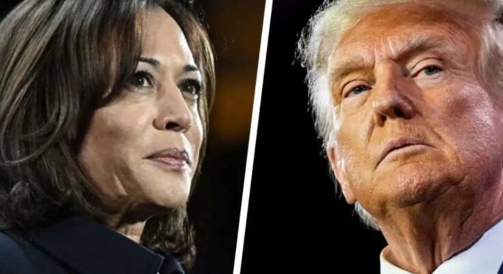 Trump and Kamala: The Rift in the Horn of Africa and Possible Outcomes if Trump Returns